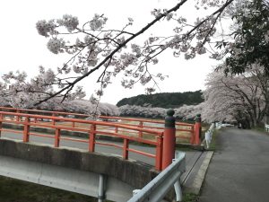 250402